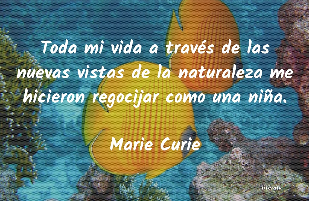 frases de Marie Curie