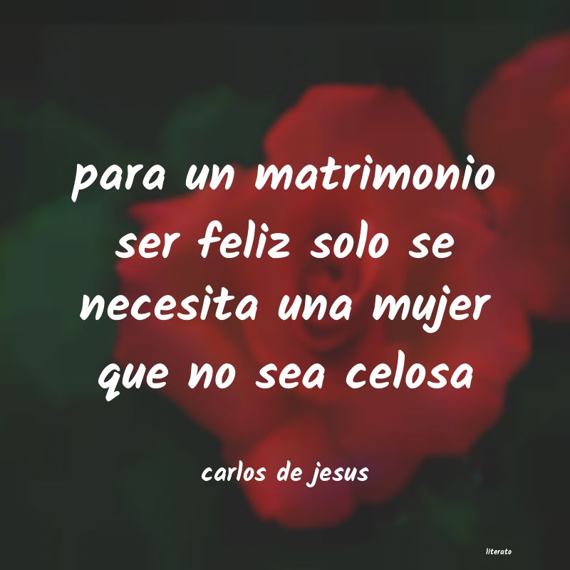 Frases de carlos de jesus