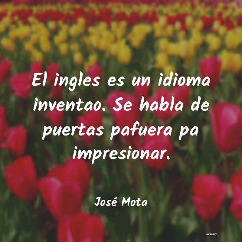 Frases de José Mota