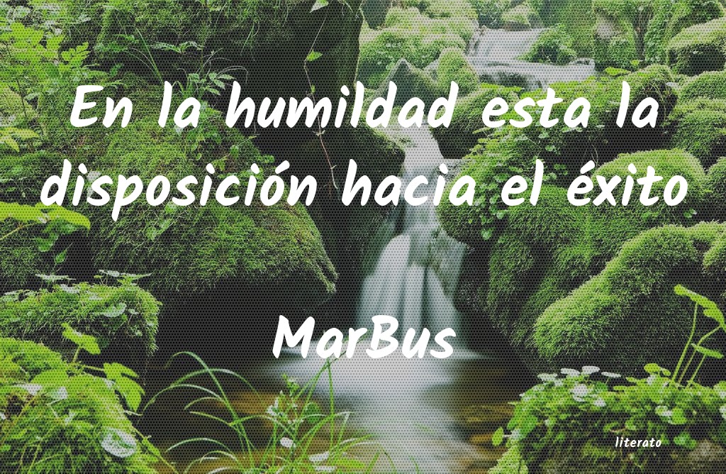 frases de MarBus