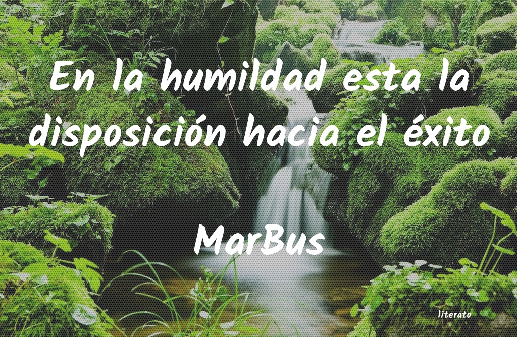 Frases de MarBus