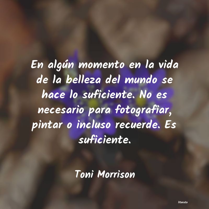 Frases de Toni Morrison