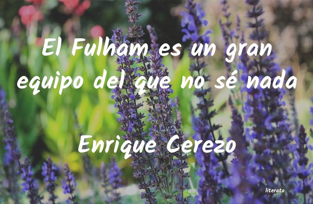 Frases de Enrique Cerezo