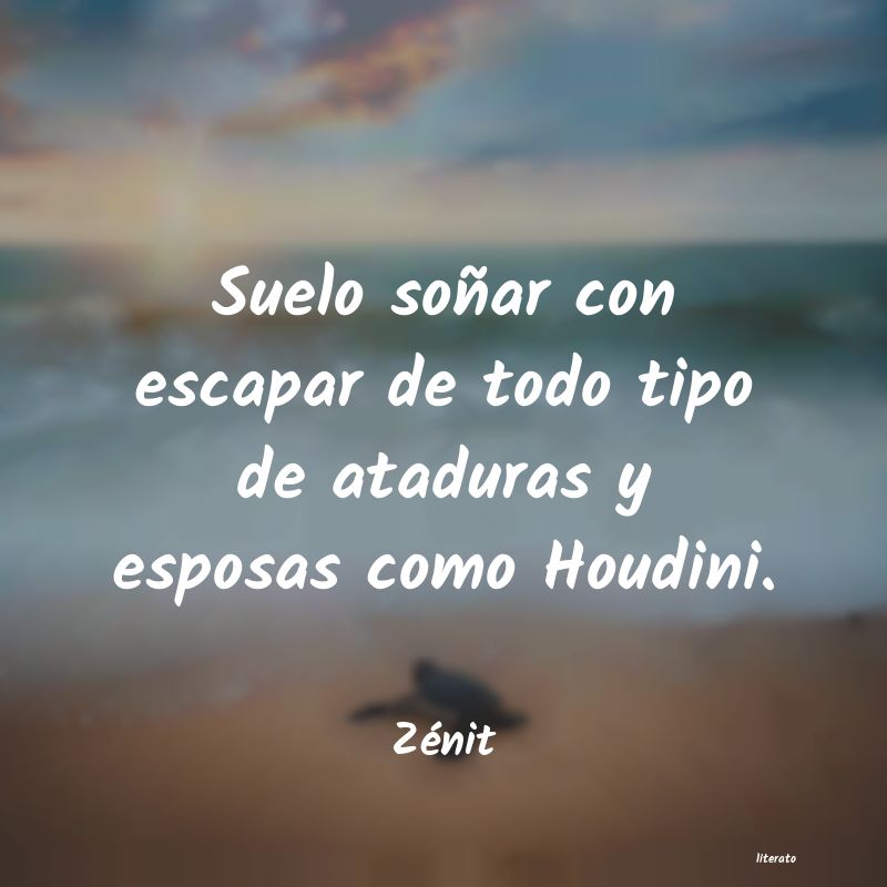 Frases de Zénit