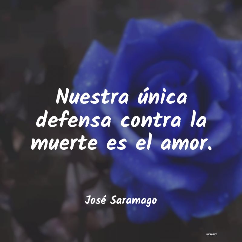 Frases de José Saramago