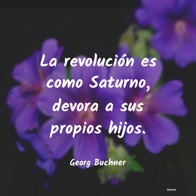 frases de Georg Buchner