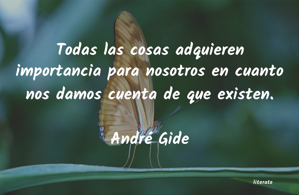 Frases de André Gide