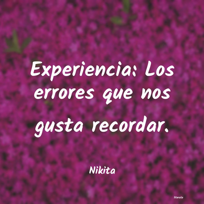 Frases de Nikita