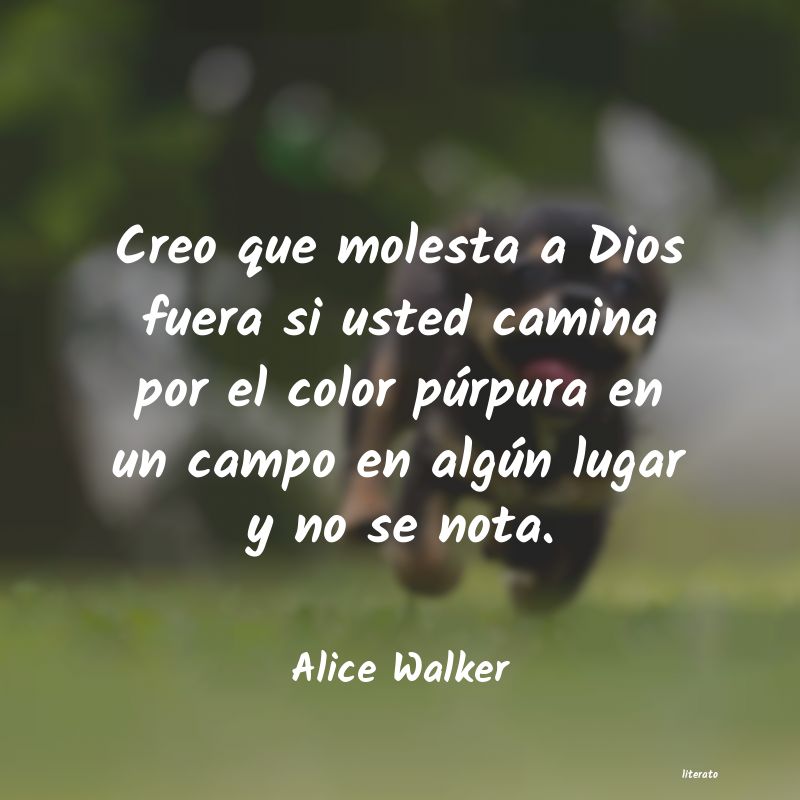 frases de Alice Walker