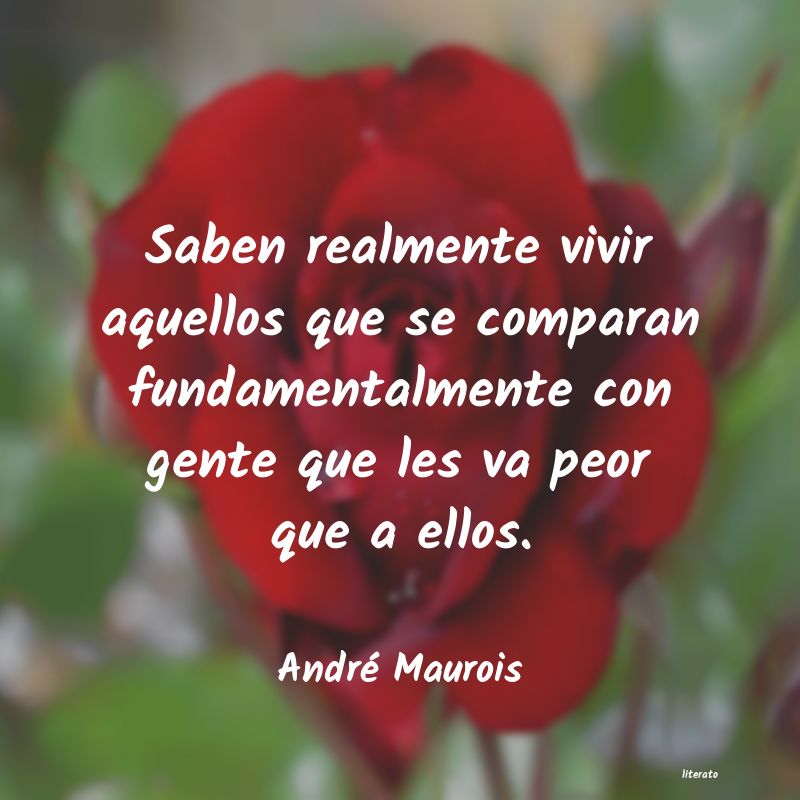 Frases de André Maurois