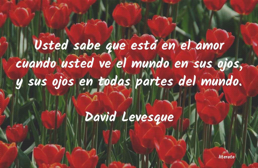 Frases de David Levesque