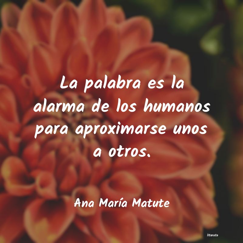 Frases de Ana María Matute