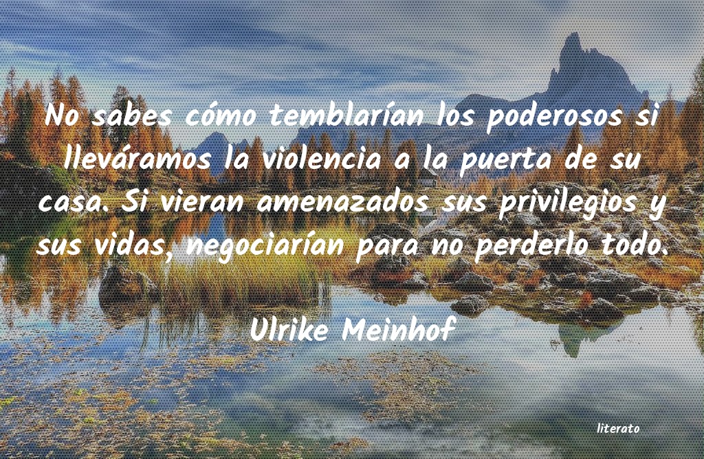 Frases de Ulrike Meinhof