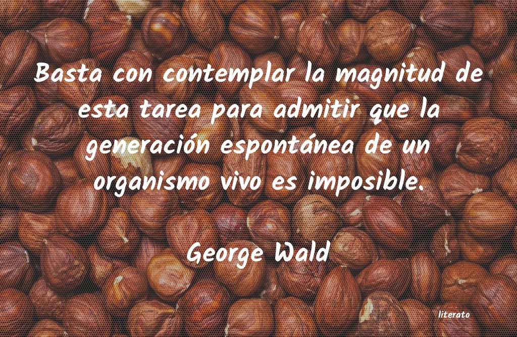 frases de George Wald