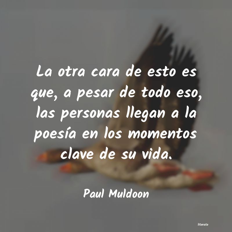 Frases de Paul Muldoon