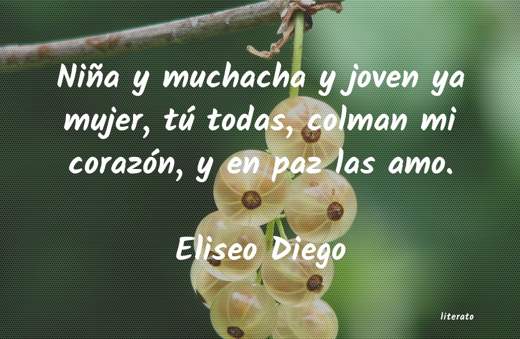 Frases de Eliseo Diego