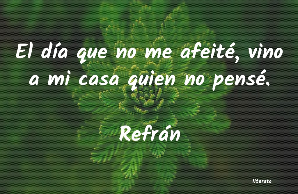 Frases de Refrán