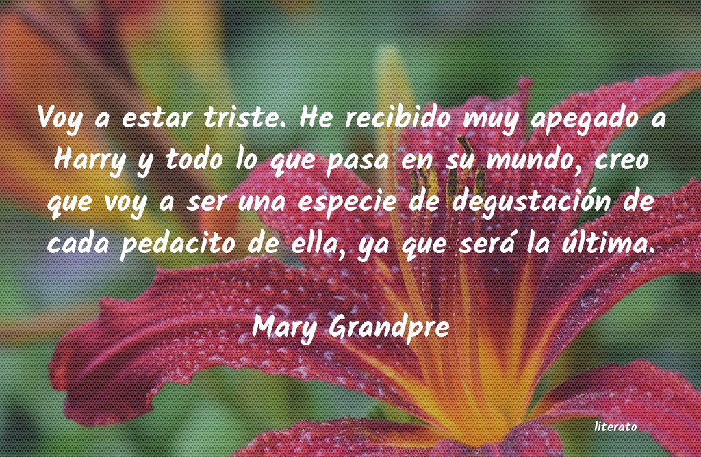 Frases de Mary Grandpre