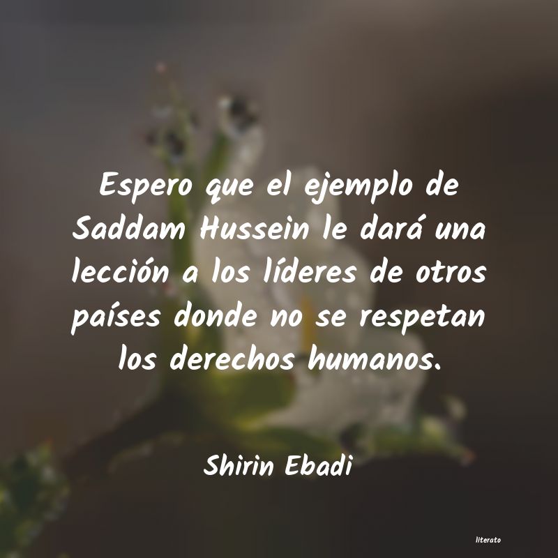 Frases de Shirin Ebadi