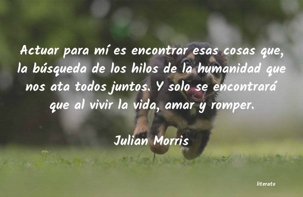 Frases de Julian Morris