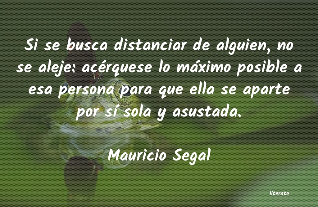 Frases de Mauricio Segal