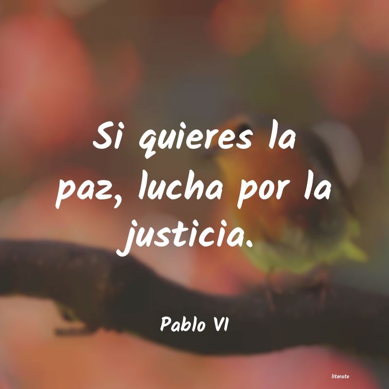 lucha por aquello que quieres