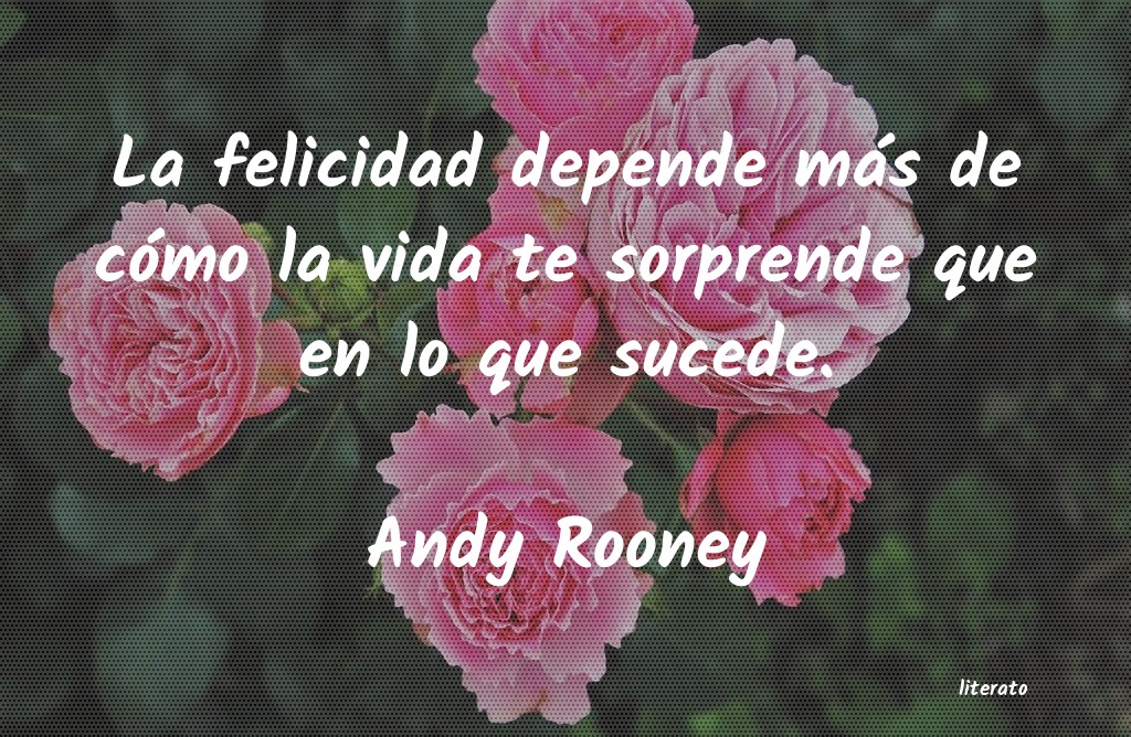 Frases de Andy Rooney