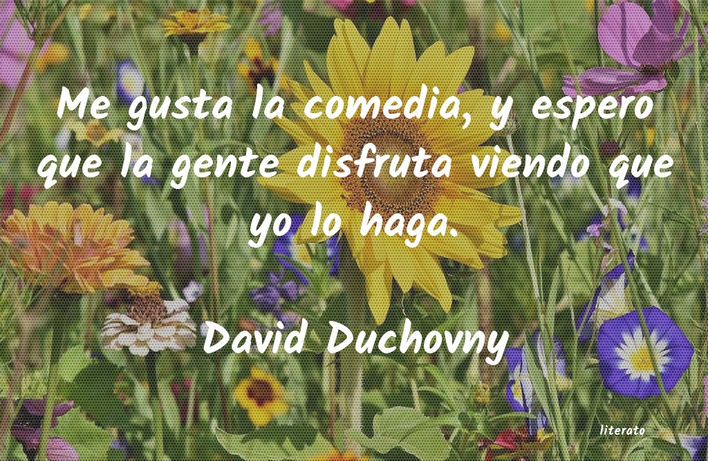 frases de David Duchovny