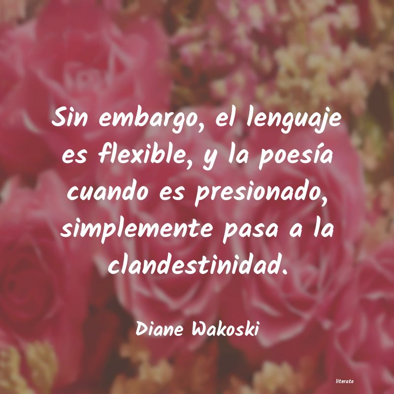 frases de Diane Wakoski