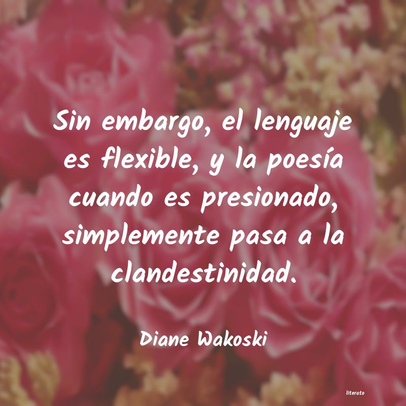 Frases de Diane Wakoski