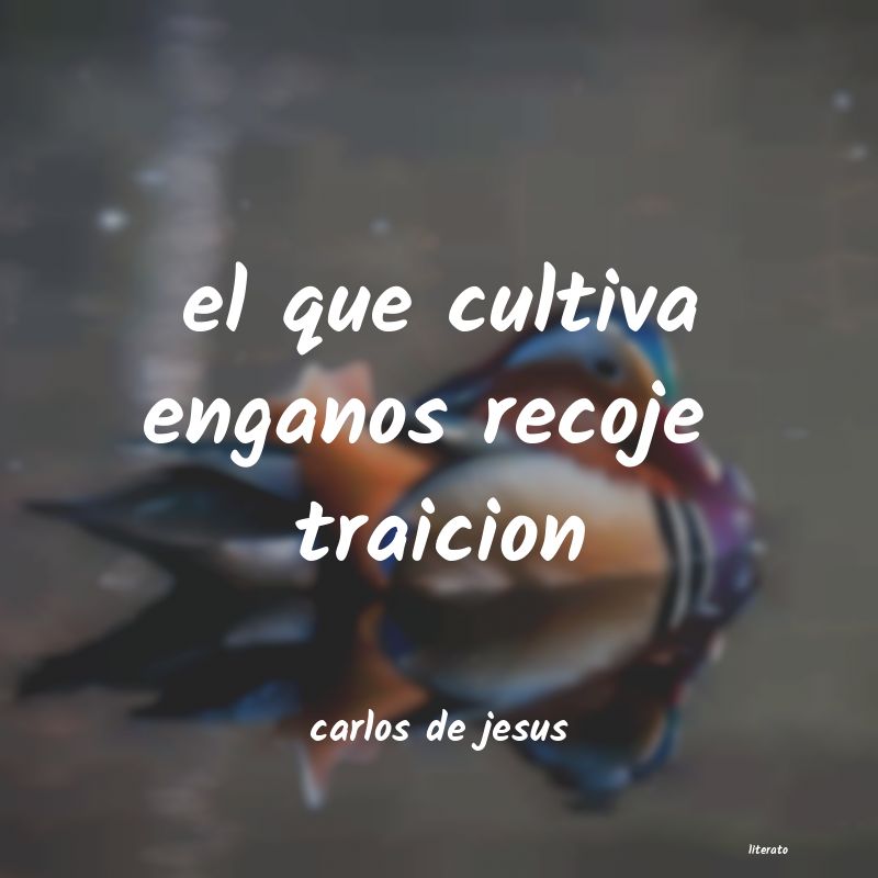 frases de carlos de jesus