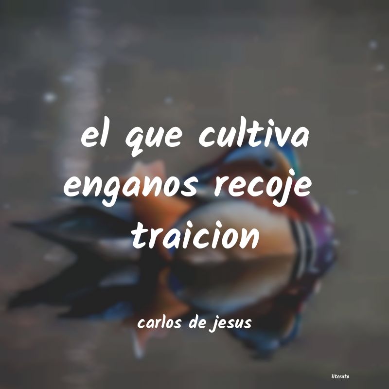 Frases Cortas de Desamor - Literato