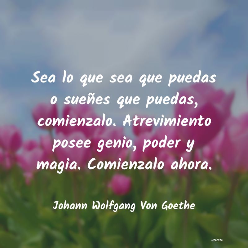 Frases de Johann Wolfgang Von Goethe