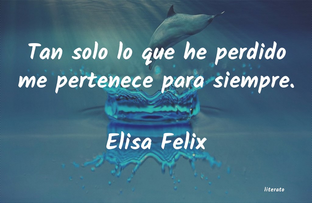 Frases de Elisa Felix