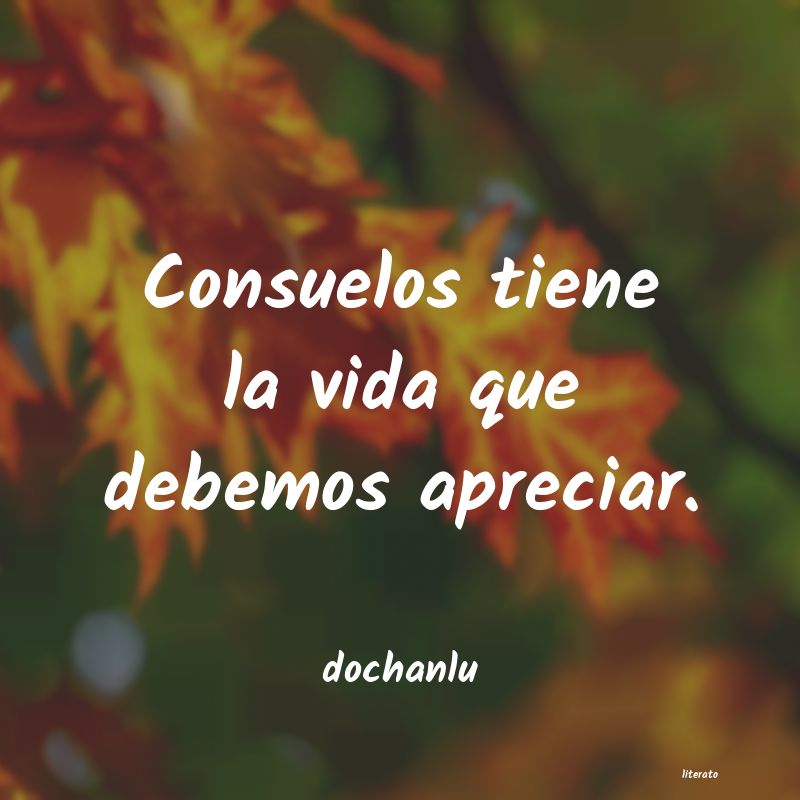 frases de dochanlu