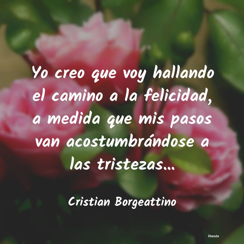Frases de Cristian Borgeattino