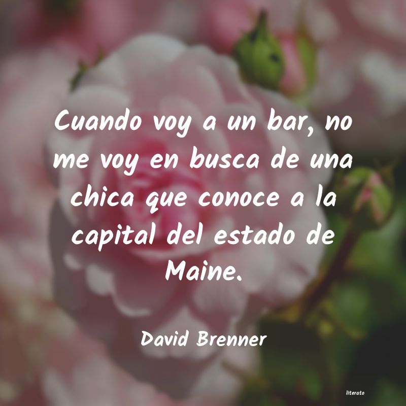 frases de David Brenner