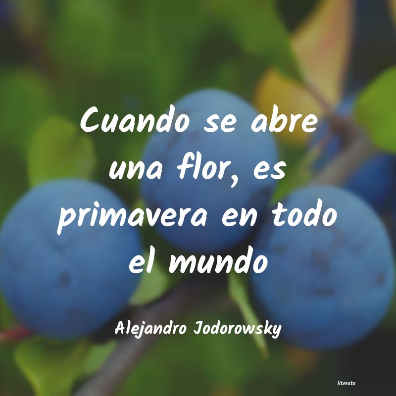 Frases de Alejandro Jodorowsky