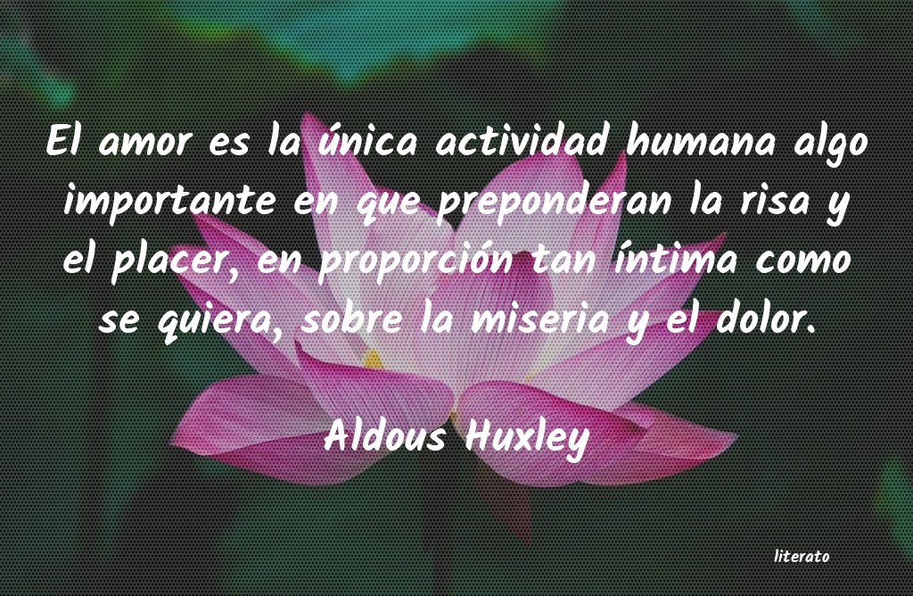 proporcion humana