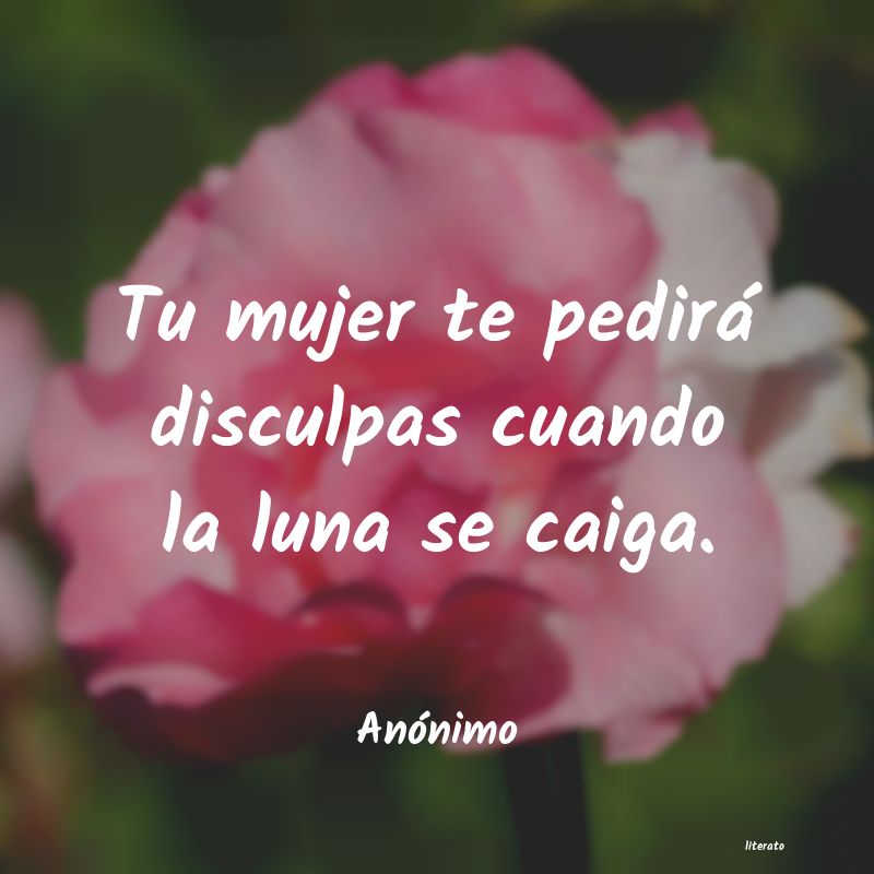 frases