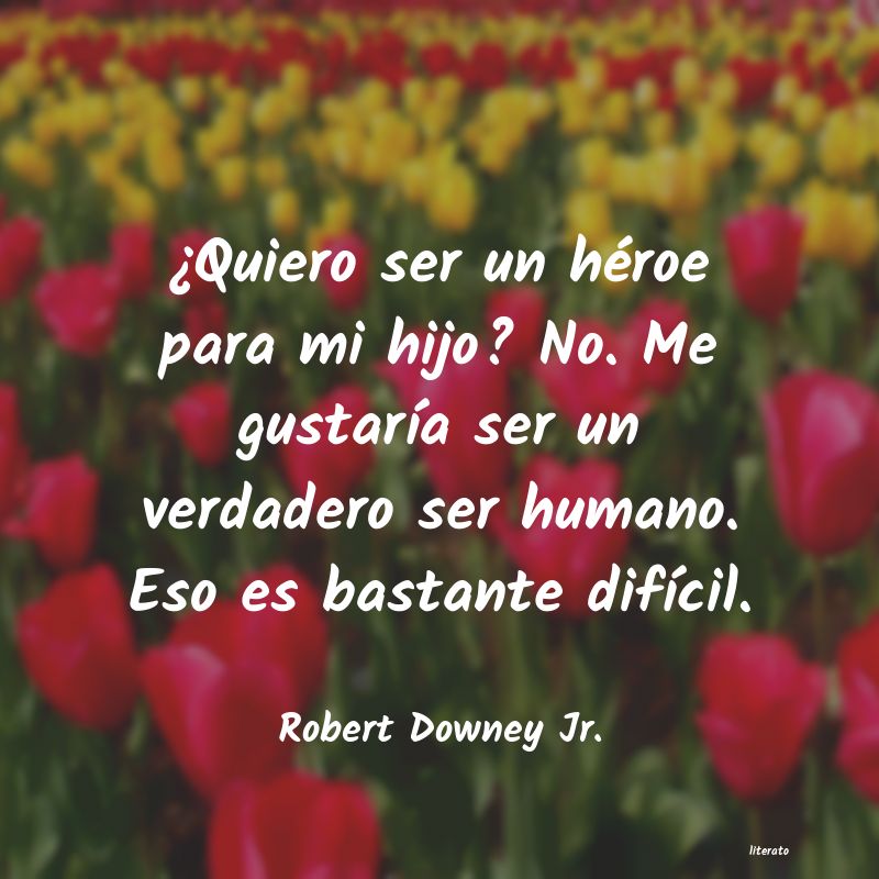 frases de Robert Downey Jr.