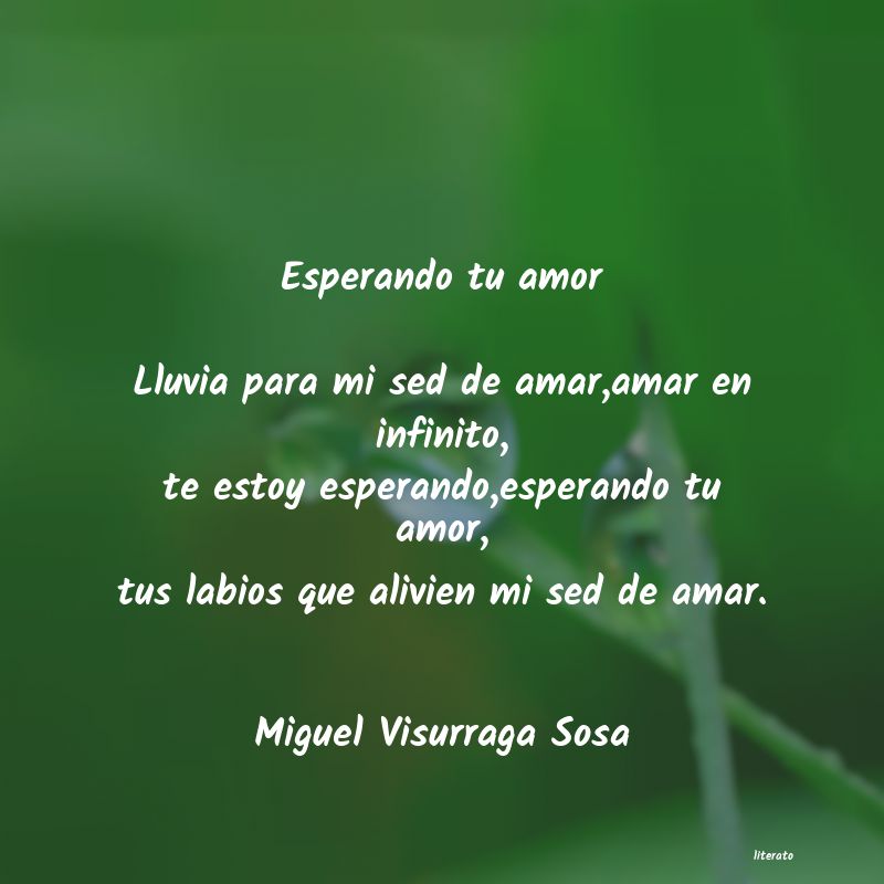 Frases de Miguel Visurraga Sosa