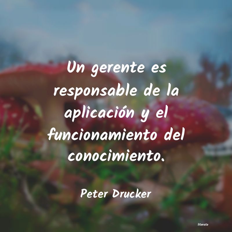 Frases de Peter Drucker