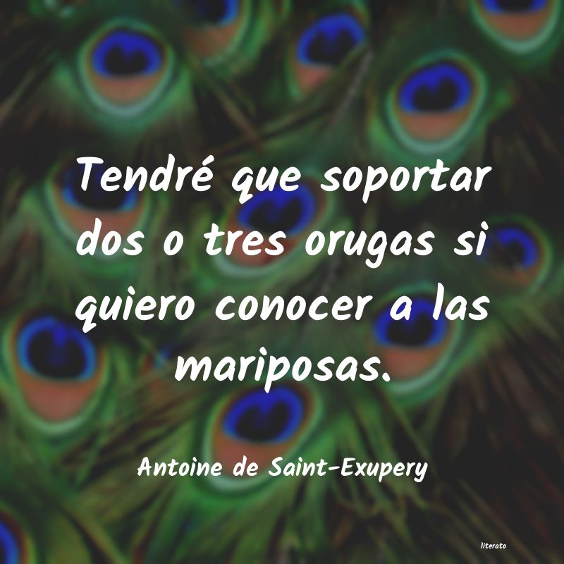 Frases de Antoine de Saint-Exupery