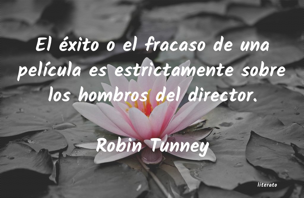 frases de Robin Tunney
