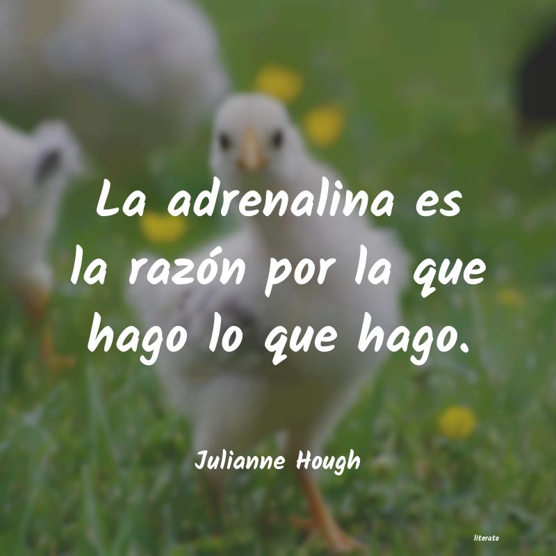 frases de Julianne Hough