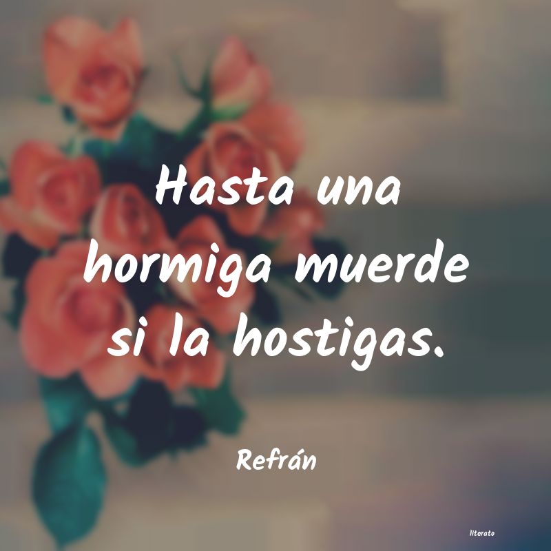 frases de Refrán