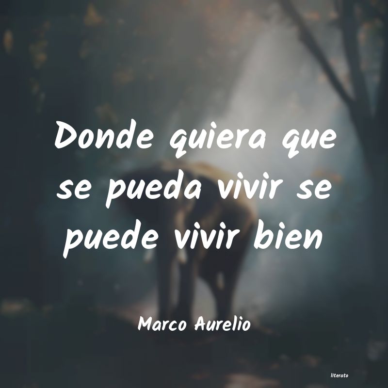 frases de Marco Aurelio