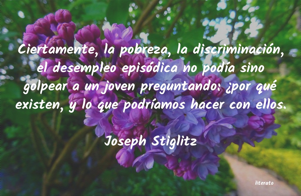 Frases de Joseph Stiglitz