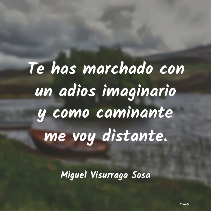 frases de Miguel Visurraga Sosa